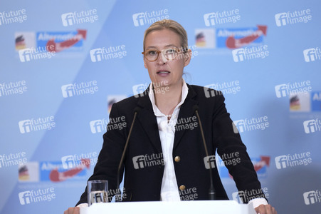 Fraktionssitzung der AfD-Bundestagsfraktion in Berlin