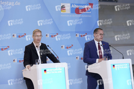 Fraktionssitzung der AfD-Bundestagsfraktion in Berlin