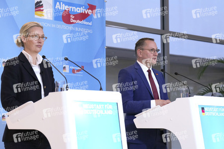 Fraktionssitzung der AfD-Bundestagsfraktion in Berlin