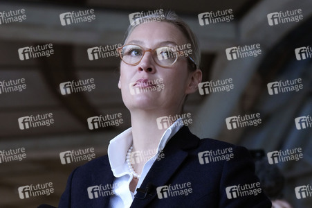 Fraktionssitzung der AfD-Bundestagsfraktion in Berlin