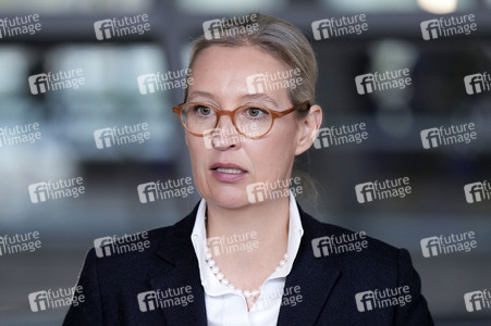 Fraktionssitzung der AfD-Bundestagsfraktion in Berlin