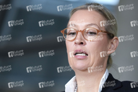 Fraktionssitzung der AfD-Bundestagsfraktion in Berlin