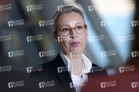 Fraktionssitzung der AfD-Bundestagsfraktion in Berlin