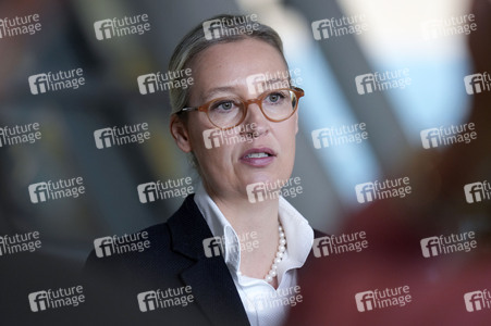 Fraktionssitzung der AfD-Bundestagsfraktion in Berlin