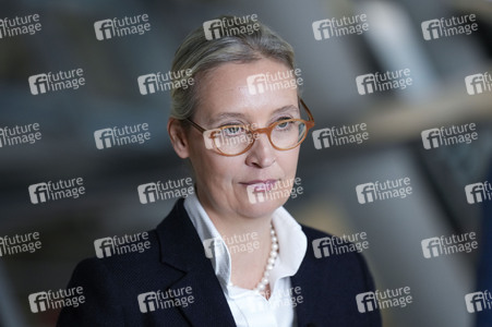 Fraktionssitzung der AfD-Bundestagsfraktion in Berlin