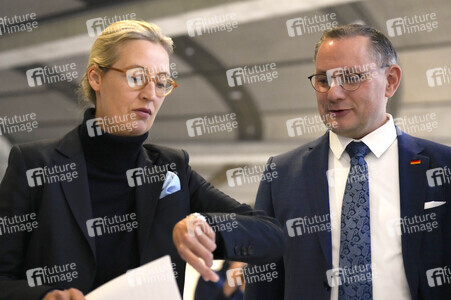 Fraktionssitzung der AfD-Bundestagsfraktion in Berlin