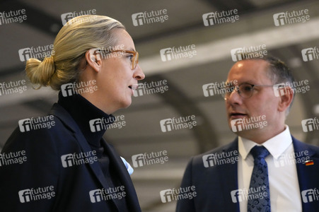 Fraktionssitzung der AfD-Bundestagsfraktion in Berlin