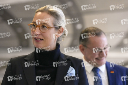 Fraktionssitzung der AfD-Bundestagsfraktion in Berlin