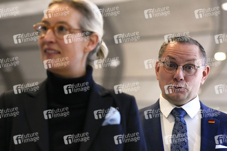 Fraktionssitzung der AfD-Bundestagsfraktion in Berlin