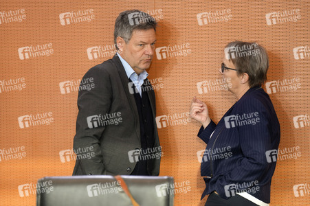 123. Sitzung des Bundeskabinetts in Berlin