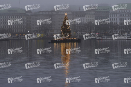 Die Alstertanne in Hamburg
