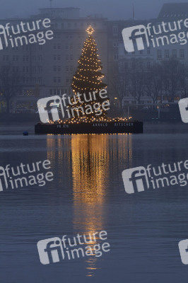 Die Alstertanne in Hamburg