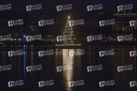 Die Alstertanne in Hamburg