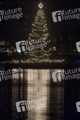 Die Alstertanne in Hamburg