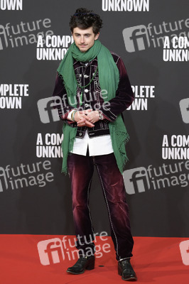 Filmpremiere 'Like a Complete Unknown' in Rom