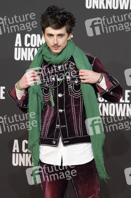 Filmpremiere 'Like a Complete Unknown' in Rom