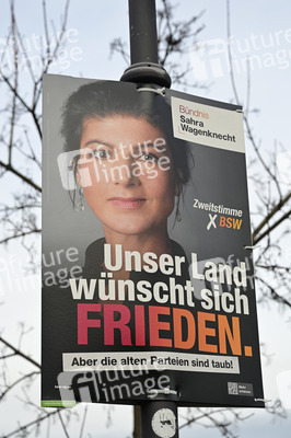 Wahlplakate zur Bundestagswahl 2025 in Radeberg
