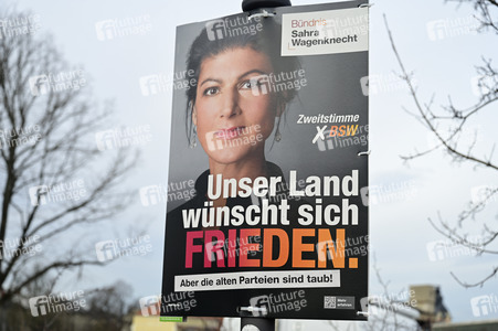 Wahlplakate zur Bundestagswahl 2025 in Radeberg