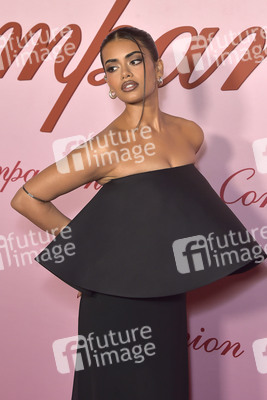 Filmpremiere 'Companion - Die perfekte Begleitung' in Los Angeles