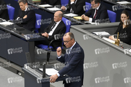 209. Sitzung des Deutschen Bundestages in Berlin