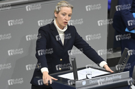 209. Sitzung des Deutschen Bundestages in Berlin