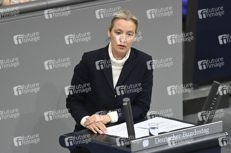 209. Sitzung des Deutschen Bundestages in Berlin