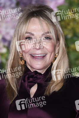 Filmpremiere 'Bridget Jones - Verrückt nach ihm' in London