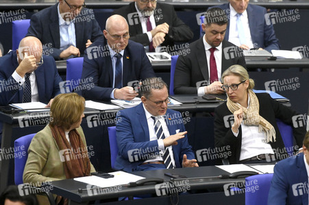 211. Sitzung des Deutschen Bundestages in Berlin