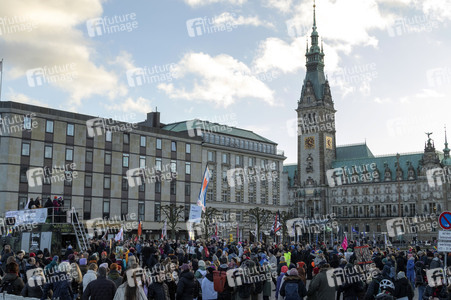 Demonstration gegen die AfD in Hamburg