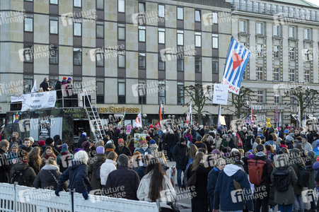 Demonstration gegen die AfD in Hamburg