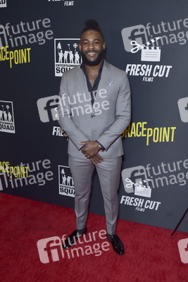 Filmpremiere 'Grace Point' in Los Angeles