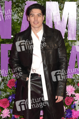 Filmpremiere 'Bridget Jones - Verrückt nach ihm' in Rom