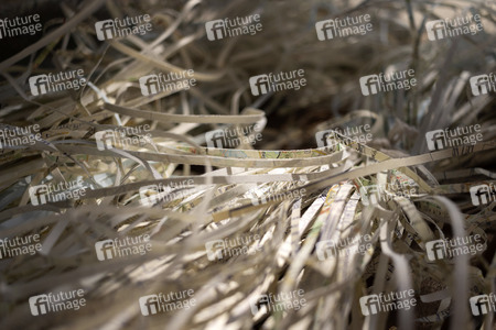 Photoshooting mit Movana Chen in Hongkong