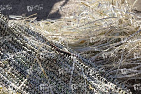 Photoshooting mit Movana Chen in Hongkong