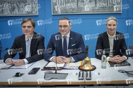Fraktionssitzung der AfD-Bundestagsfraktion in Berlin