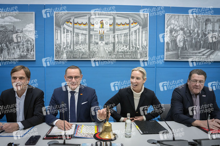 Fraktionssitzung der AfD-Bundestagsfraktion in Berlin