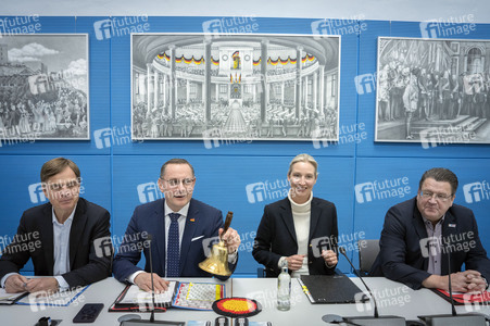 Fraktionssitzung der AfD-Bundestagsfraktion in Berlin