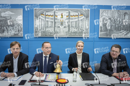 Fraktionssitzung der AfD-Bundestagsfraktion in Berlin