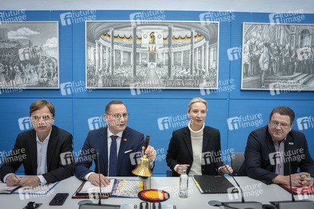 Fraktionssitzung der AfD-Bundestagsfraktion in Berlin