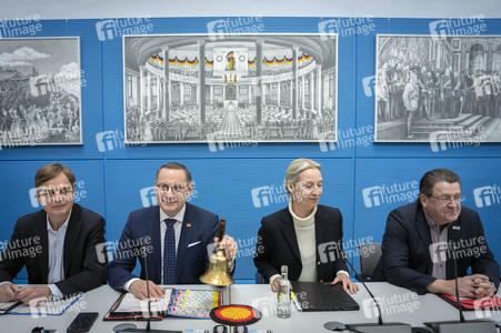 Fraktionssitzung der AfD-Bundestagsfraktion in Berlin