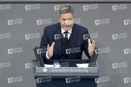 212. Sitzung des Deutschen Bundestages in Berlin