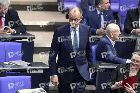 212. Sitzung des Deutschen Bundestages in Berlin