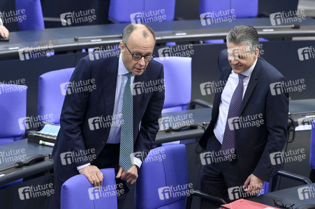 212. Sitzung des Deutschen Bundestages in Berlin