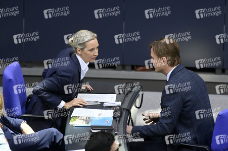 212. Sitzung des Deutschen Bundestages in Berlin