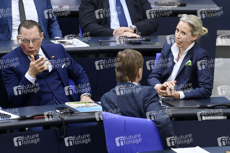 212. Sitzung des Deutschen Bundestages in Berlin