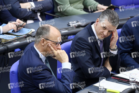 212. Sitzung des Deutschen Bundestages in Berlin