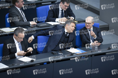 212. Sitzung des Deutschen Bundestages in Berlin