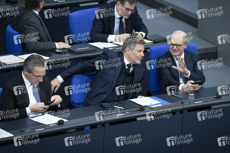 212. Sitzung des Deutschen Bundestages in Berlin