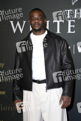 Season 3 Premiere 'The White Lotus' in Berlin