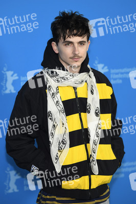 Photocall 'Like A Complete Unknown', Berlinale 2025